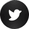 X icon