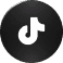 TikTok icon